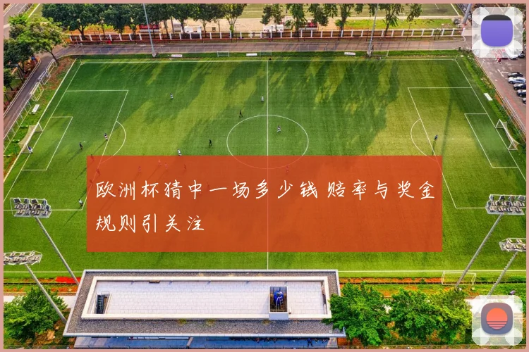 欧洲杯猜中一场多少钱 赔率与奖金规则引关注