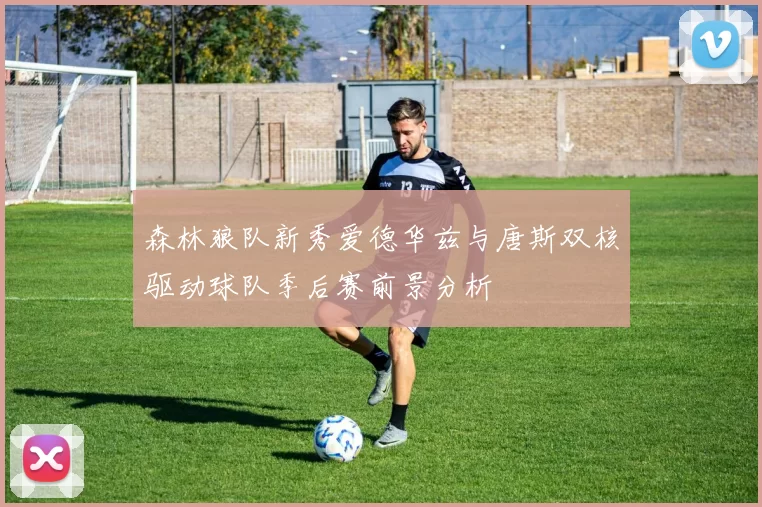 森林狼队新秀爱德华兹与唐斯双核驱动球队季后赛前景分析